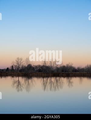 Alberi e un cielo blu riflettono fuori di un laghetto ancora. Un bagliore arancione e rosa all'orizzonte dall'impoluzione d'aria si profila dopo il tramonto. Foto Stock