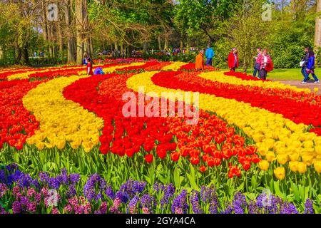 Lisse Paesi Bassi 20. Aprile 2014 molti tulipani e narcisi colorati nel parco dei tulipani di Keukenhof a Lisse, Olanda meridionale, Paesi Bassi Foto Stock