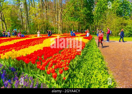 Lisse Paesi Bassi 20. Aprile 2014 molti tulipani e narcisi colorati nel parco dei tulipani di Keukenhof a Lisse, Olanda meridionale, Paesi Bassi Foto Stock