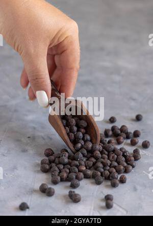 Mano con una paletta in legno di ceci neri secchi di Puglia e Basilicata in Italia su tavolo grigio con spazio copia, primo piano Foto Stock