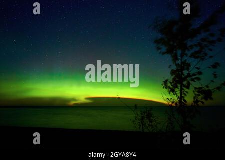 Luci Aurora con motivo tornado e albero con silhouette di foglie e cielo notturno Foto Stock