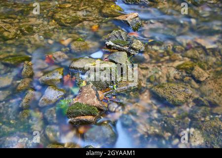 Piccole rocce ricoperte di muschio in un fondale poco profondo Foto Stock