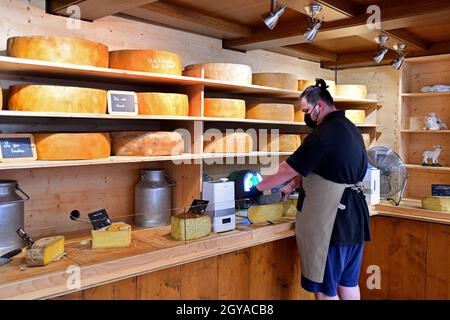 Caseificio artigianale che taglia formaggi tradizionali fatti a mano a Ribeauvillé, Alsazia, Francia Foto Stock