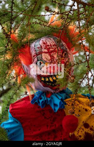 La bambola del clown dell'assassino spaventoso in su nell'albero Foto Stock