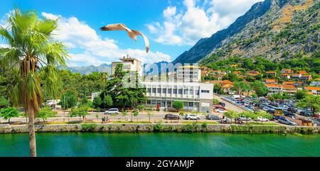 Architettura nella città di Kotor sul fiume Scurda, Montenegro Foto Stock