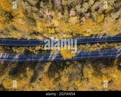 due strade attraverso la foresta autunnale e alberi gialli, vista dall'alto Foto Stock