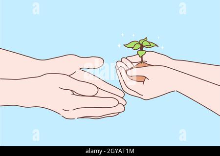 Verde, giardinaggio, concetto di agricoltura. Mani umane palmi che tengono e passando piccolo germoglio o segando ad altri. Protezione della terra e ambiente c Foto Stock