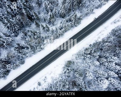 Strada attraverso la foresta boschiva. Vista dall'alto della strada e degli alberi di Natale. Foto Stock