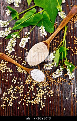 Farina di grano saraceno di cereali marroni e verdi in due cucchiai, fiori e foglie sullo sfondo di una tavola di legno scuro dall'alto Foto Stock