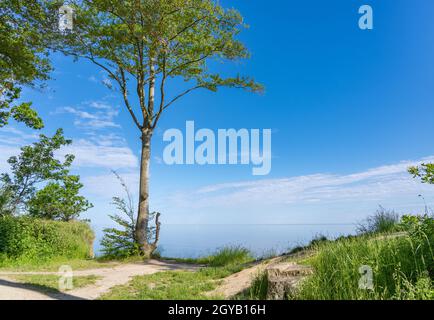 Vista dalla scogliera vicino a Weissenhaeuser Strand, Germania Foto Stock