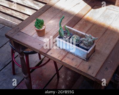 cactus in pentole di legno poste sul tavolo di legno Foto Stock