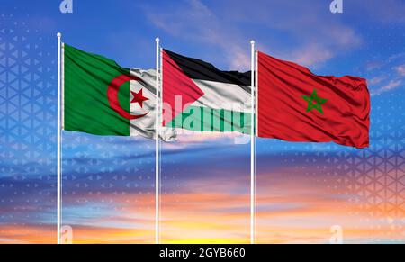 Bandiera dell'Algeria, del Marocco e della Palestina. Sostenere il popolo palestinese Foto Stock