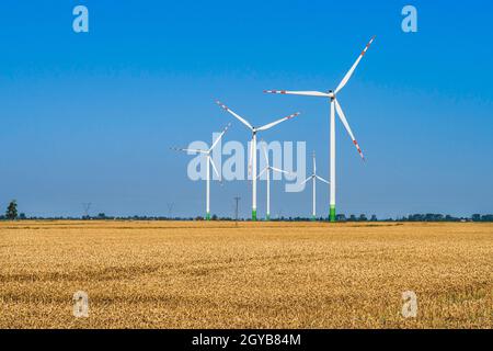 Mulini a vento per produzione di energia elettrica circondati da campi agricoli. Foto Stock