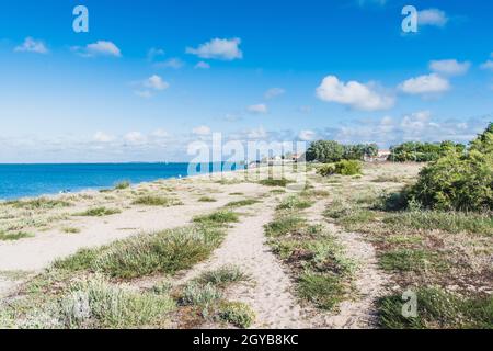 La spiaggia di la Phibie sull'isola di Oléron, in Francia sotto un bel cielo blu Foto Stock