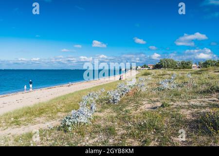 La spiaggia di la Phibie sull'isola di Oléron, in Francia sotto un bel cielo blu Foto Stock