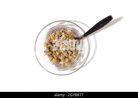 Vista dall'alto di un piatto di scarafaggi con forchetta come spuntino e sfondo bianco Foto Stock