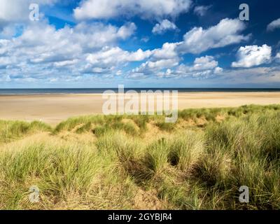 Erba di Marram che cresce sulle dune di sabbia alla testa della spiaggia a Holkham Norfolk, Regno Unito. Foto Stock