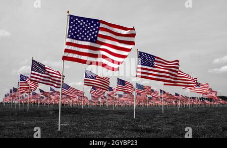 Colpo orizzontale di molte bandiere americane piantate nel terreno Foto Stock