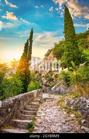 Strada nella fortezza di Cattaro all'alba, Montenegro Foto Stock