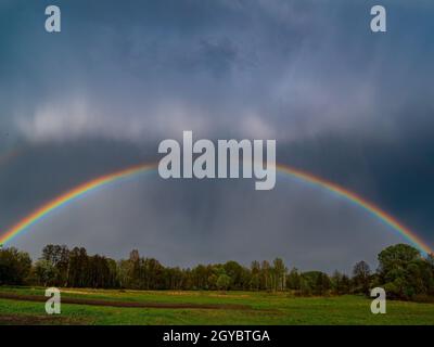 Arcobaleno con nuvole di pioggia nel cielo. Arcobaleno colorato. Spettro di colori. Nuvole di pioggia. Cielo cupo. Corone di alberi verdi. Paesaggio naturale. Pheno atmosferico Foto Stock