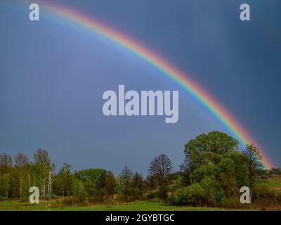 Arcobaleno con nuvole di pioggia nel cielo. Arcobaleno colorato. Spettro di colori. Nuvole di pioggia. Cielo cupo. Corone di alberi verdi. Paesaggio naturale. Pheno atmosferico Foto Stock