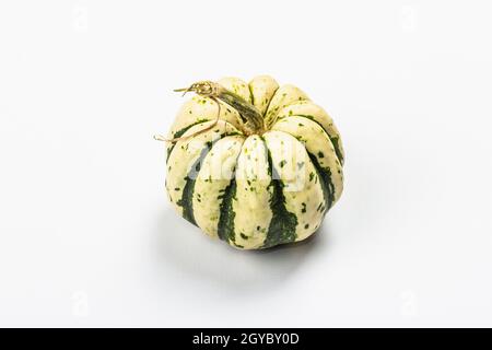 Zucca verde matura isolata su sfondo bianco. Squash intero, elemento decorativo tradizionale festivo per Halloween o Thanksgiving Foto Stock