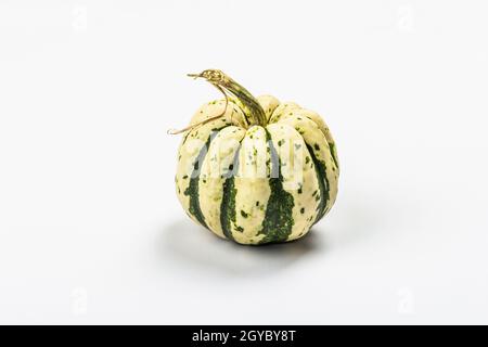 Zucca verde matura isolata su sfondo bianco. Squash intero, elemento decorativo tradizionale festivo per Halloween o Thanksgiving Foto Stock