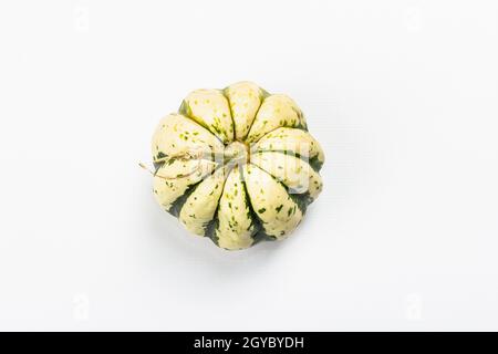 Zucca verde matura isolata su sfondo bianco. Squash intero, elemento decorativo tradizionale festivo per Halloween o Thanksgiving Foto Stock