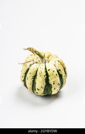 Zucca verde matura isolata su sfondo bianco. Squash intero, elemento decorativo tradizionale festivo per Halloween o Thanksgiving Foto Stock