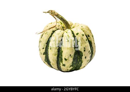 Zucca verde matura isolata su sfondo bianco. Squash intero, elemento decorativo tradizionale festivo per Halloween o Thanksgiving Foto Stock