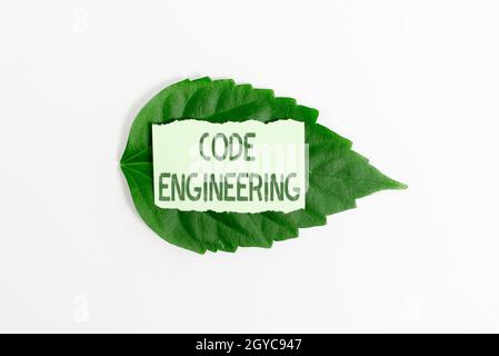 Firma visualizzazione Codice Engineering, Business showcase applicazione di ingegneria allo sviluppo di software Saving Environment Ideas and Plans, Crea Foto Stock