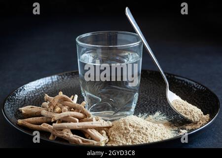 Radici asciutte di Ashwagandha , anche conosciuto come Withania Somnifera, Ginseng indiano, Gooseberry di veleno, o ciliegia di inverno su sfondo scuro. Medicina alterantiva Foto Stock