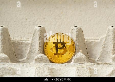 Bitcoin dorato in un vassoio per le uova di pollo. Bitcoins Farm - concetto. Bitcoin in scatola di cartone. Concetto di criptovaluta Foto Stock