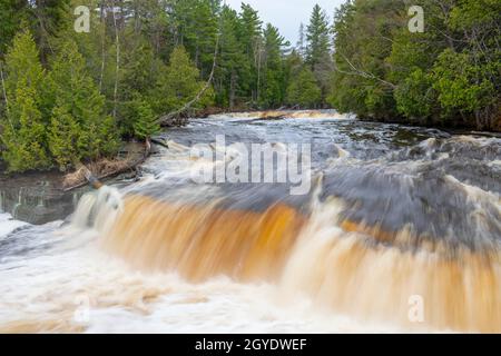 Lower Tahquamenon Falls, Tahquamenon Falls state Park, May, Michigan, USA, di Dominique Braud/Dembinsky Photo Assoc Foto Stock