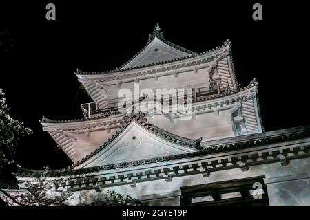 Castello di Odawara e fiori di ciliegio. Luogo di tiro: Odawara, Prefettura di Kanagawa Foto Stock