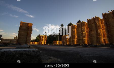 legno di pino segato messo in pali Foto Stock