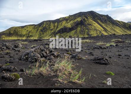 Maestoso paesaggio vulcanico coperto di muschio negli altopiani dell'Islanda Foto Stock