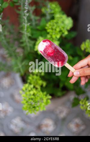 Una mano femminile tiene un gelato naturale fragola-lampone su un bastone sulla strada. Vacanza, estate, caldo, ghiaccio Foto Stock