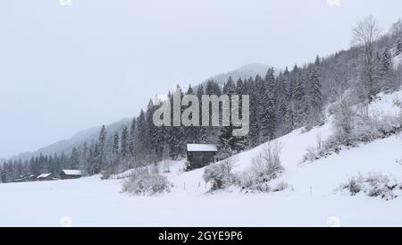 Foresta innevata e piccolo chalet nell'Oberland Bernese. Foto Stock