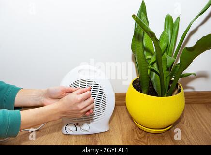 La ragazza tiene le mani vicino al riscaldatore del ventilatore di plastica e riscalda le mani, regolando la temperatura a casa, il flusso di calore alle sue mani. Un flowerpo Foto Stock