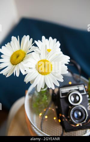 Vecchio rustico vintage fotocamera con un mazzo di fiori a margherita su una tavola di legno. Vista da sopra. Foto Stock