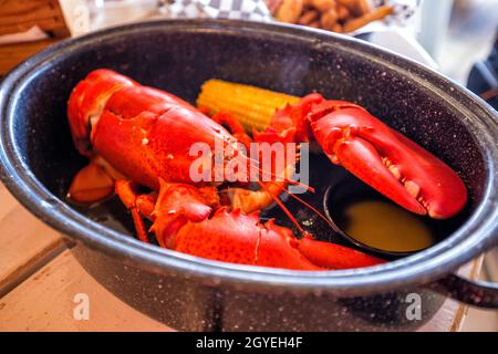 Grande aragosta rossa del Maine servita su piatto Foto Stock