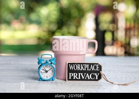 Didascalia concettuale Workplace Privacy, Business Showcase protezione dei diritti individuali sulla privacy nel luogo di lavoro Calming and Refreshing Environment, G Foto Stock