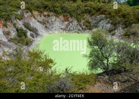 Roto Karikitea in un'area geotermica chiamata Waiotapu in Nuova Zelanda Foto Stock