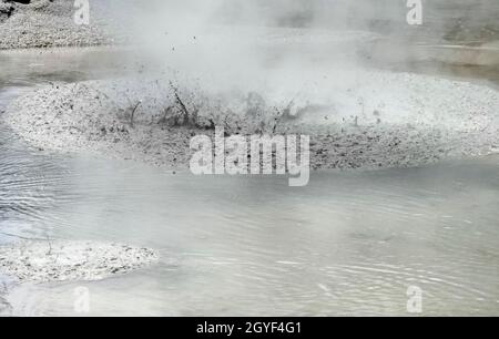 Dettaglio in un'area geotermica chiamata Waiotapu in Nuova Zelanda Foto Stock