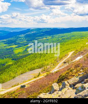 Bella valle paesaggio panorama Norvegia di Hemsedal con montagne colorate in estate. Foto Stock