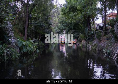 Tradizionale trajinera colorata circondata da alberi nel lago Xochimilco Foto Stock