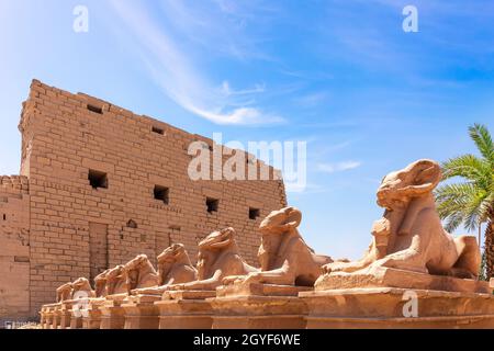 Bel Tempio di Karnak, statue di sfinge a testa di montone, Luxor, Egitto. Foto Stock