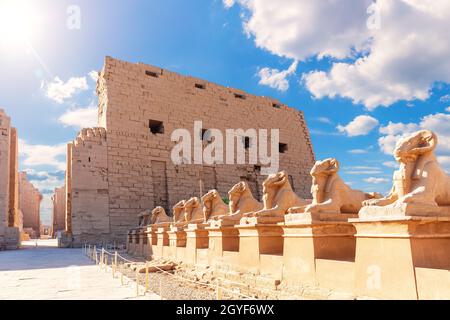 Luxor dromos, un viale di sfingi umani a testa, Tempio di Karnak, Egitto. Foto Stock