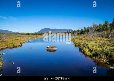 Tom Bog pigro con Katahdin in background al Baxter state Park in una mattina presto autunno Foto Stock